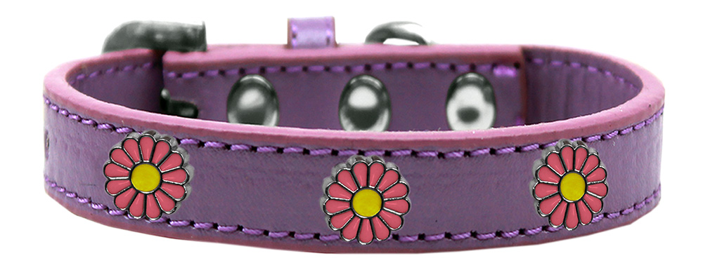 Pink Daisy Widget Dog Collar Lavender Size 10